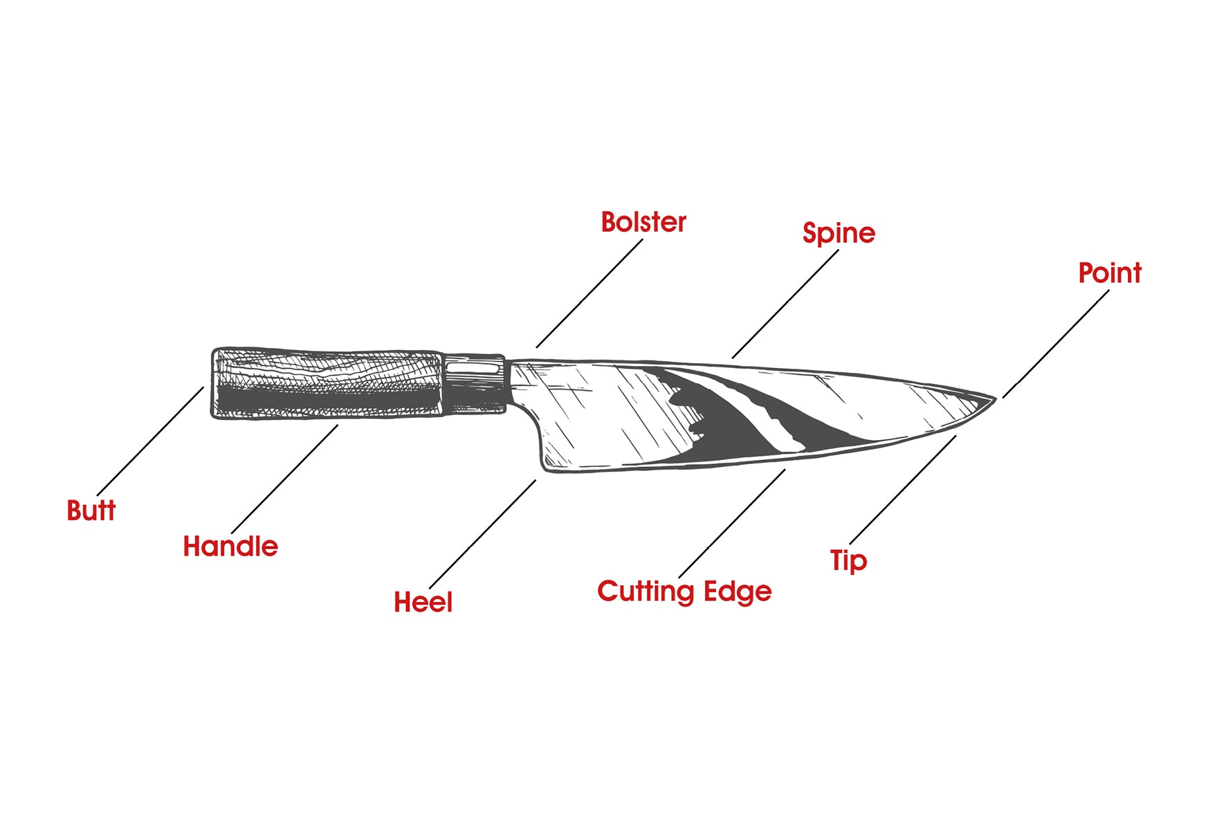 Anatomy of a Chef Knife – santokuknives