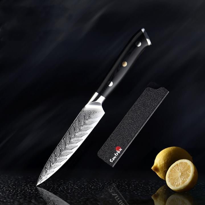 Riku Damascus VG10 Knife