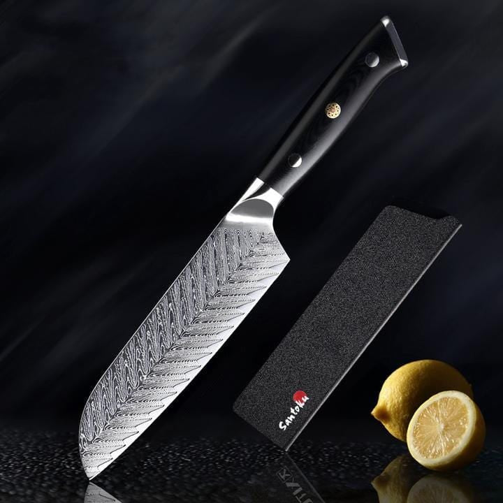 Riku Damascus VG10 Knife