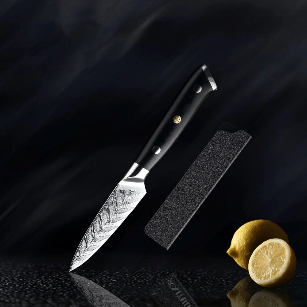 Riku Damascus VG10 Knife