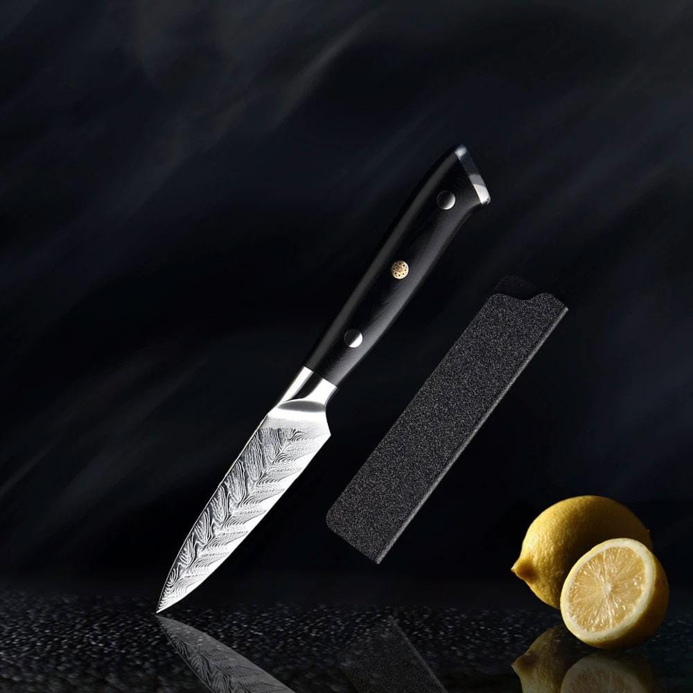 Riku Damascus VG10 Knife