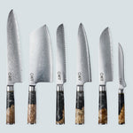 Aiko Black Damascus Steel Knife with Coloured Black Resin Handle